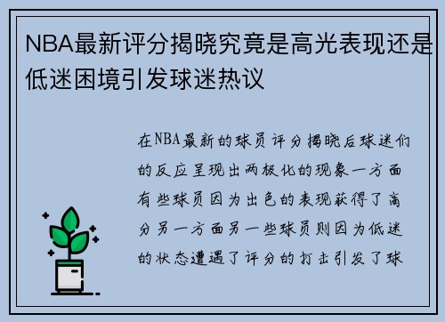 NBA最新评分揭晓究竟是高光表现还是低迷困境引发球迷热议